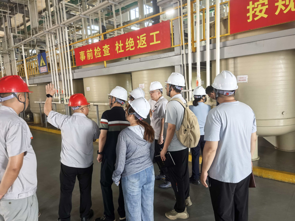 国家专业技术团队莅临视察工作